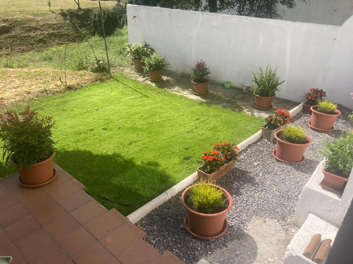 Apartamento Con Jardin En El Oviedo Antiguo ภายนอก รูปภาพ